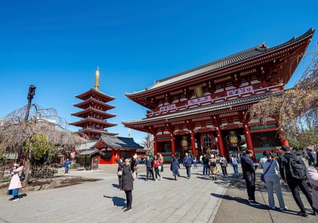 Five-story pagoda and Hozomon treasure chamber gate of Asakusa Shrine or Senso-ji Temple, blooming