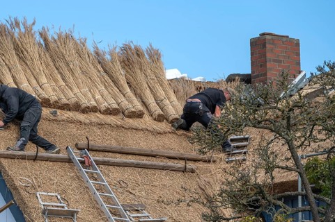 A thatched roof is covered, Wieck a. Darß, Baltic Sea, Mecklenburg-Western Pomerania, Germany