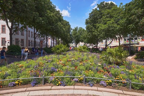 Garden area, flower bed, trees, general architecture, pedestrians as a secondary motif, blue sky,