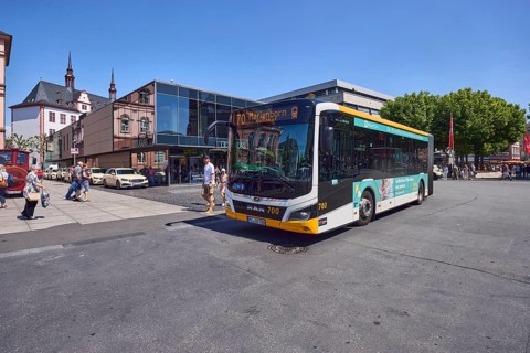 Commercial building, general architecture, modern building, perfumery, Douglas, public bus, bus