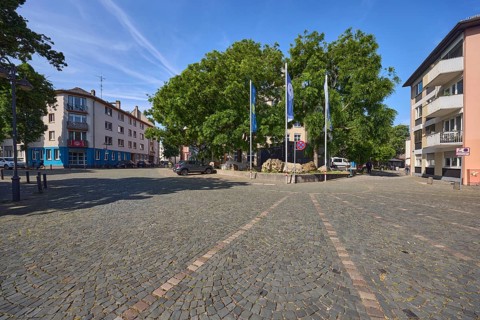 General architecture, flags on flagpoles, advertising flag, trees, cars, square made of paving