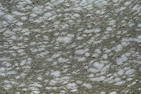 Structure of pollution in the port of Ahrenshoop, Darß, Baltic Sea, Mecklenburg-Western Pomerania,