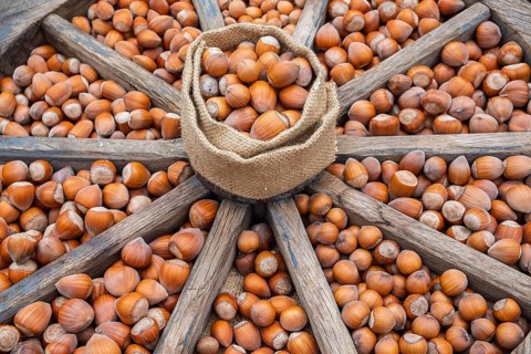 Different types of hazelnuts in an old wagon wheel, Münsterland, North Rhine-Westphalia, Germany