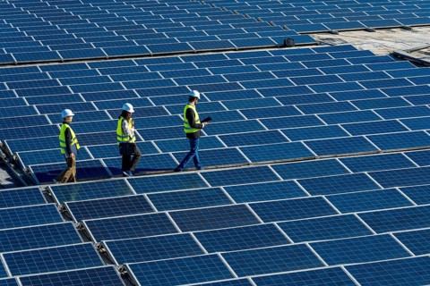 Engineers wearing safety vests and hard hats walking along rows of blue solar panels, performing