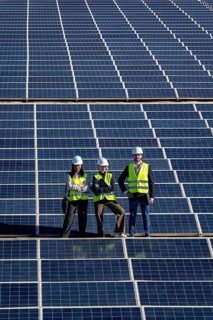 Engineers team on expansive solar farm inspecting panels and planning clean energy projects,