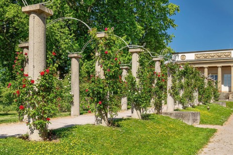 Rosengarten am Rosensteinmuseum, Rosensteinpark, Stuttgart, Baden-Württemberg Germany, Stuttgart,