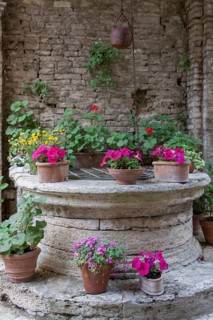 Old fountain decorated with lots of potted flowers, Tuscany, Italy