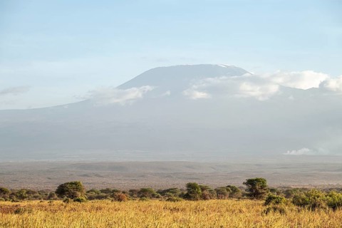 African savanna and summit of Mount Kilimanjaro, in the evening light, Kajiado County, Kenya