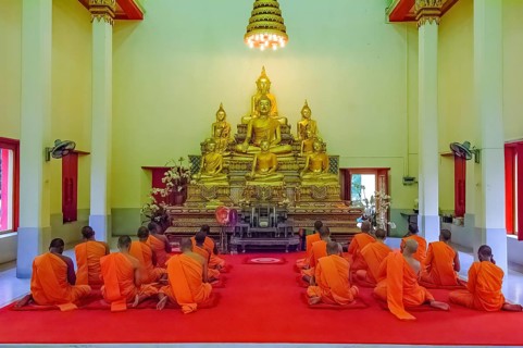 Buddhist monks in prayer hall pray while praying in front of golden statues of Buddha in temple,