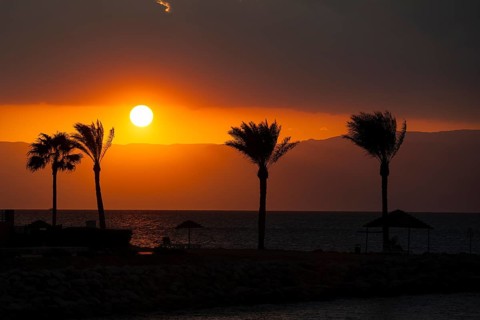 Atmospheric sunset view with four palm trees of Aqaba Jordanian shore east coast from across Red