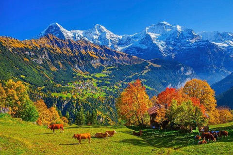Autumn landscape in the hamlet of Sulwald with views of Wengen and Eiger 3967m, Mönch 4110m and