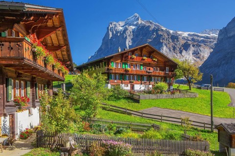 Typical Oberland farmhouses with Wetterhorn 3690m in autumn, Grindelwald, Lütschinental, Bernese