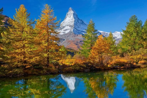 Matterhorn 4478 m with reflection in Lake Grindji in autumn, Zermatt, Mattertal, Valais,