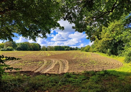 Cultural landscape, Sonnenberg municipality, Oberhavel district, Brandenburg, Germany