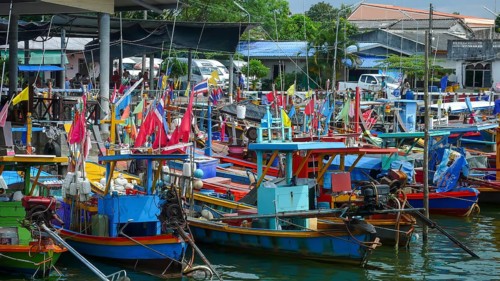 Fishing boats moored side by side in colors blue and red, Phang Nga Bay, Phang Nga Phang-nga