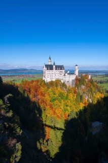 The fairytale Neuschwanstein Castle towers over autumn-colored trees against a clear blue sky,