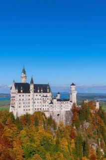 Neuschwanstein Castle stands majestically with autumnal forest in the foreground under clear skies,