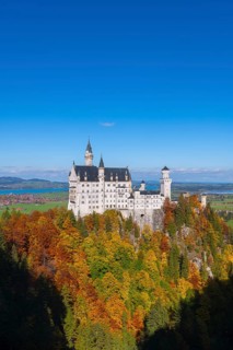 Neuschwanstein Castle overlooks the autumn trees and blends harmoniously into the landscape,