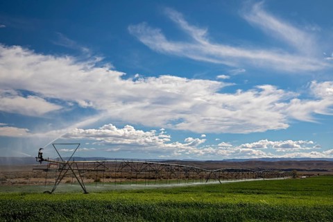 Alcova, Wyoming - Sprinklers water a crop growing in the Wyoming desert. Water in this otherwise