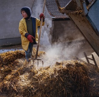 Little boy, eight years old, standing with a pitchfork on a steaming manure heap, Eckenhaid, Middle