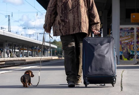 Traveler with trolley and dachshund on a leash, on a platform at Essen Central Station, North