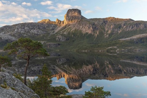 Morning dream over the quiet Steigtindvatnet near Bodø. Pine forest on the rock face at sunrise