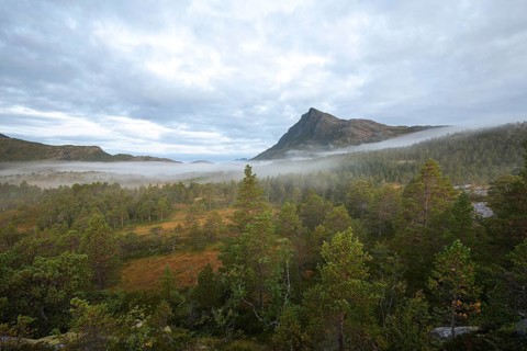 Magical morning fog on Steigtindvatnet in front of the majestic Litltind in Norway near Bodø