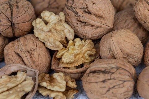 Fresh walnuts from Germany in shell and peeled