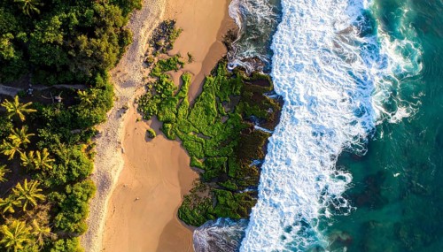 Green algae on the shore of an ocean. Fascinating phenomenon of wilderness nature, green plants,