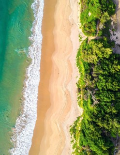 Green algae on the sandy shore of an ocean. Fascinating phenomenon of wild coastline with green