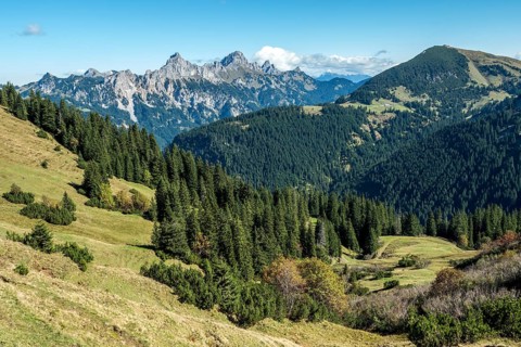 View from the Saalfelder Höhenweg to Schartschrofen and Rote Flüh, Tannheimer Tal, Allgäu Alps,