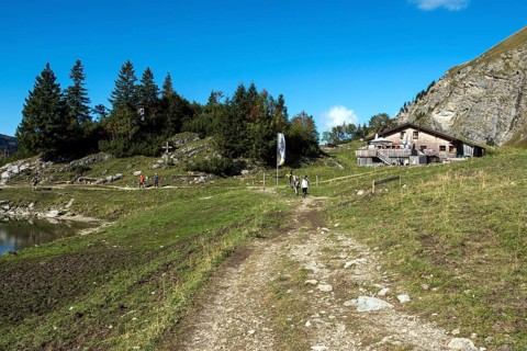 Obere Traualpe am Traualpsee, Allgäu Alps, Tannheim, Tyrol, Austria