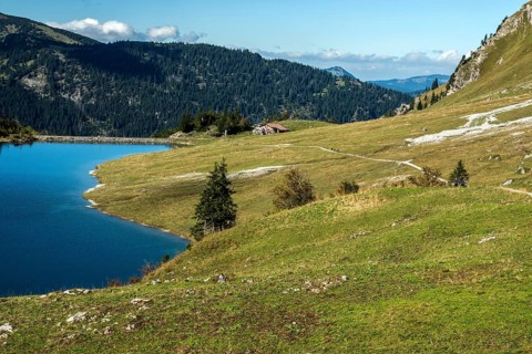 Traualpsee, right hiking trail to Obere Traualpe, Allgäu Alps, Tannheim, Tyrol, Austria