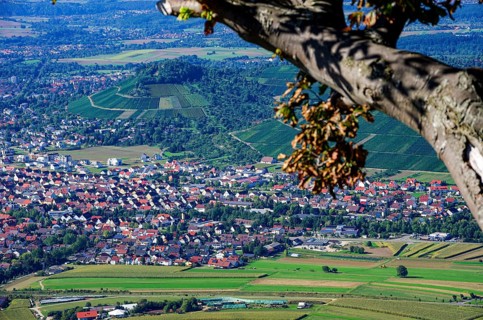 Picturesque scenery on the eaves of the Swabian Jura near Olgafels on Rossfeld in Metzingen-Glems,