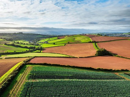 Fields and Farms at evening sun from a drone, Shaldon, Torquay, Devon, England, United Kingdom