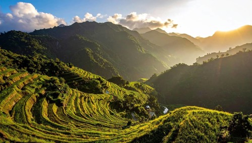 Early morning light bathes Philippines rice terraces cascading down mountain slopes, beautiful