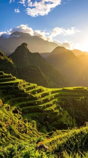 Early morning light bathes Philippines rice terraces cascading down mountain slopes, beautiful