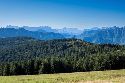 View from Stoisser Alm in Chiemgau of the Berchtesgaden and Chiemgau Alps and the wooded Teisenberg