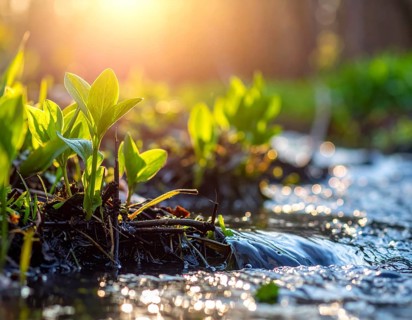 Beautiful spring detailed stream of fresh water, vibrant blooming young green plants, wallpaper