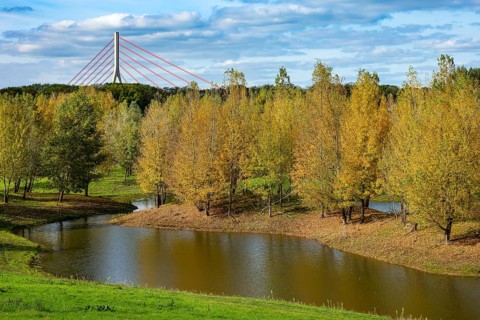 Wesel, Lower Rhine, North Rhine-Westphalia, Germany - autumn on the Lippe, trees with colorful