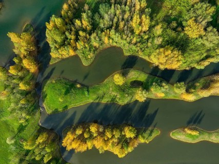 Wesel, Lower Rhine, North Rhine-Westphalia, Germany - autumn on the Lippe, trees with colorful
