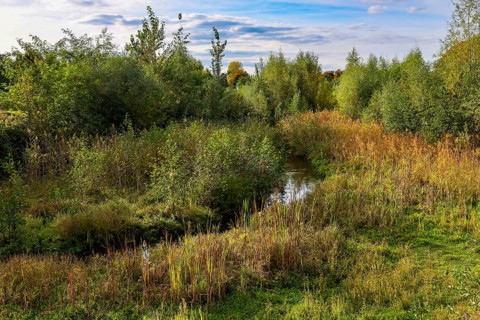 Bottrop, North Rhine-Westphalia, Germany - Autumn on the restored Boye, the tributary of the