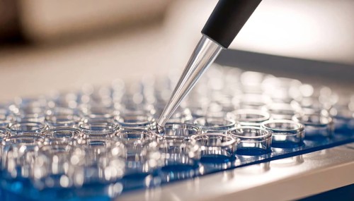 Twin pipette tips align above circular wells on a blue microplate, Pipette dispensing a liquid onto