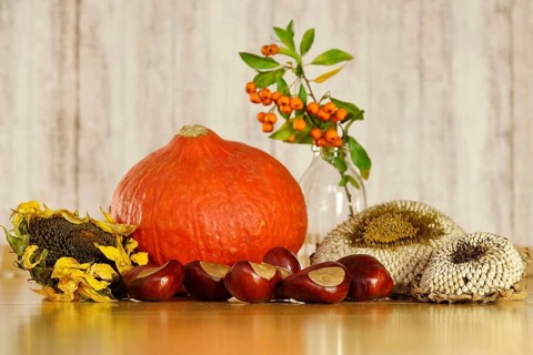 Autumn still life with pumpkin, sunflowers, chestnuts, October, Germany