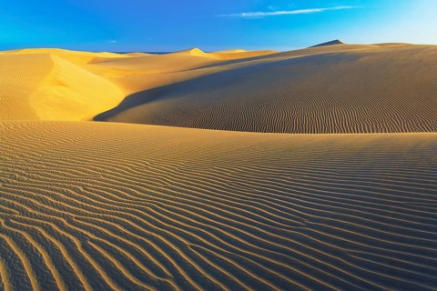 Sand dunes, Maspalomas, Playa del Ingles, Gran Canaria, Canary Islands, Spain