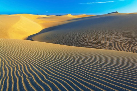 Sand dunes, Maspalomas, Playa del Ingles, Gran Canaria, Canary Islands, Spain