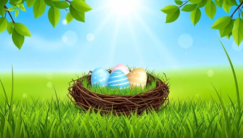 Nest with easter eggs in grass on a sunny spring day, Easter wallpaper decoration drawing, banner,