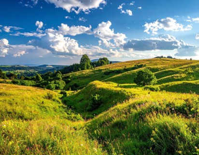 Fresh summer hilly Landscape with blooming Meadow, green plants, Blue Sky with cloudy sky, serene