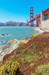 View of Golden Gate Bridge from Bakery beach, San Francisco, California, USA