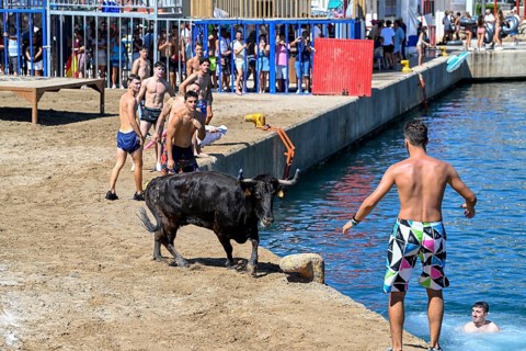 Bous a la Mar Fair, in English Bulls in the Sea, Bullfighting, Javea or Xàbia, Alicante Province,